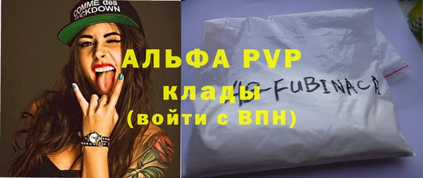 индика Зерноград