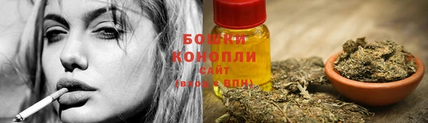 apvp Белокуриха