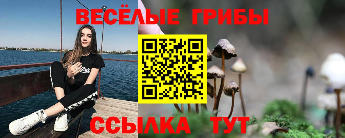 Дальнегорск  Псилоцибиновые грибы Cubensis  Вход с VPN 