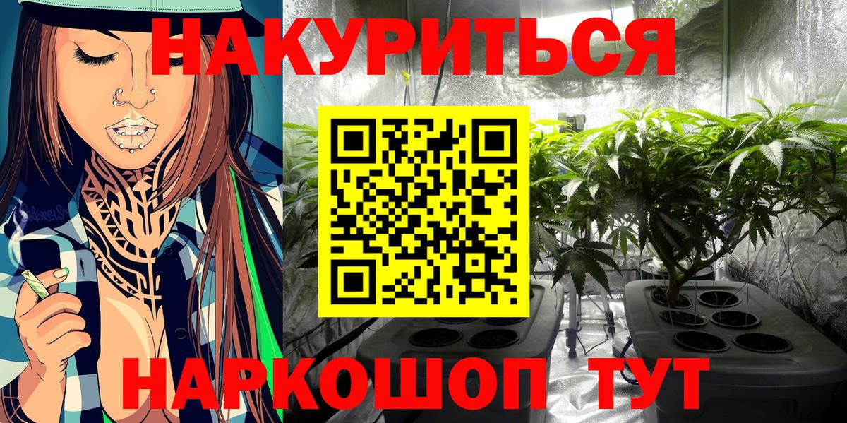 Каннабис конопля Дальнегорск